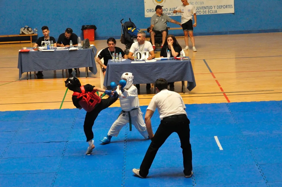 Campeonato de Andalucía de Kung Fu