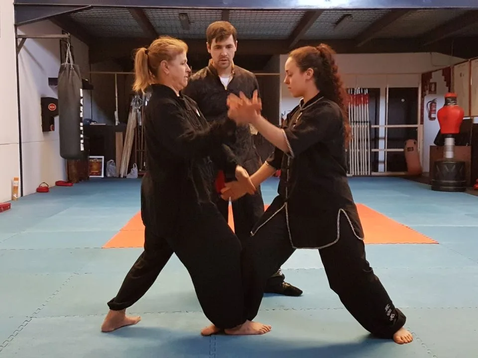 Curso de Sui Shin Ryu