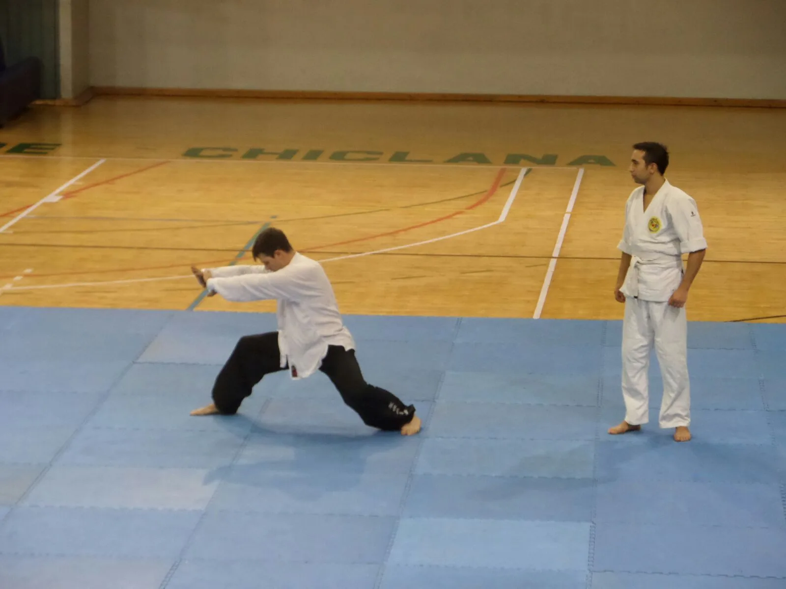 Exhibición de artes marciales en San José del Valle